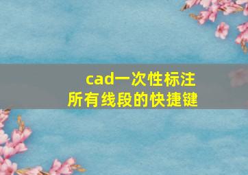 cad一次性标注所有线段的快捷键