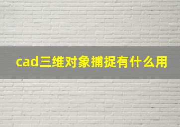 cad三维对象捕捉有什么用