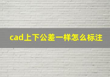 cad上下公差一样怎么标注