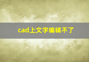 cad上文字编辑不了