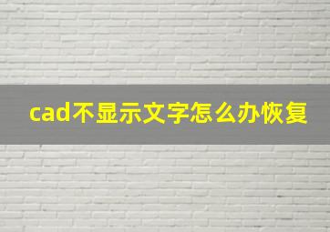 cad不显示文字怎么办恢复