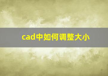 cad中如何调整大小