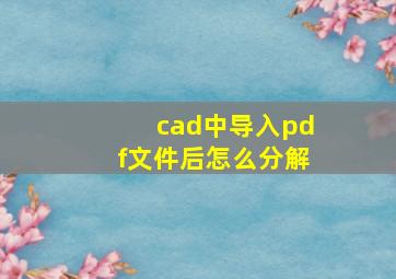 cad中导入pdf文件后怎么分解