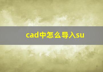 cad中怎么导入su