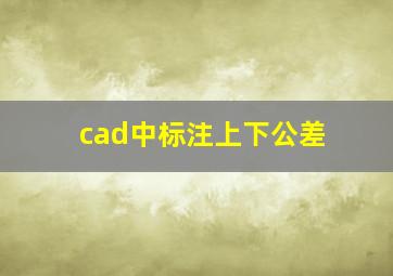 cad中标注上下公差