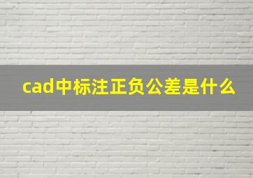 cad中标注正负公差是什么