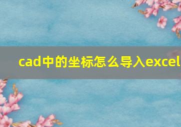 cad中的坐标怎么导入excel