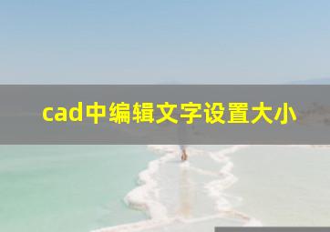 cad中编辑文字设置大小