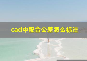 cad中配合公差怎么标注