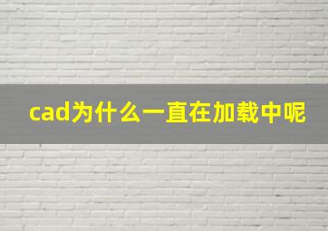 cad为什么一直在加载中呢