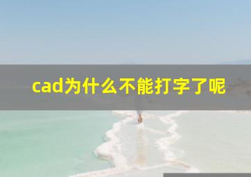 cad为什么不能打字了呢