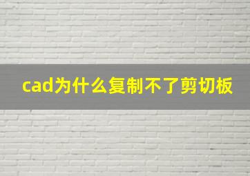 cad为什么复制不了剪切板