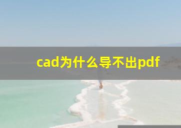 cad为什么导不出pdf