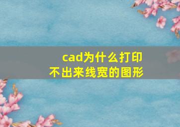 cad为什么打印不出来线宽的图形