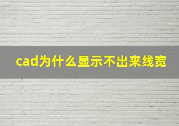 cad为什么显示不出来线宽