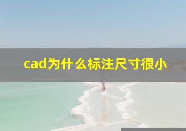 cad为什么标注尺寸很小