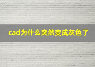 cad为什么突然变成灰色了