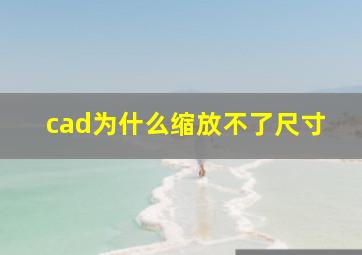 cad为什么缩放不了尺寸