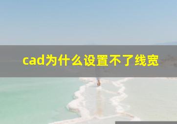 cad为什么设置不了线宽