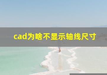 cad为啥不显示轴线尺寸