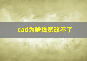 cad为啥线宽改不了