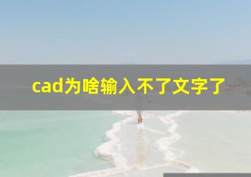 cad为啥输入不了文字了