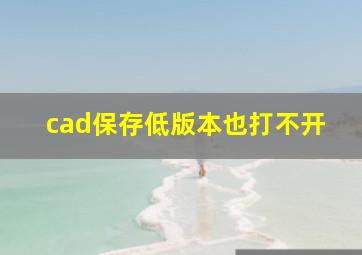 cad保存低版本也打不开