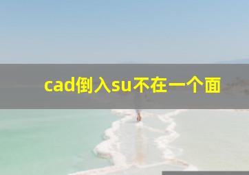 cad倒入su不在一个面