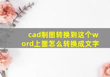 cad制图转换到这个word上面怎么转换成文字