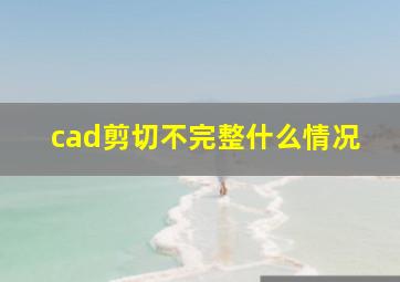 cad剪切不完整什么情况