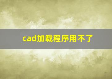 cad加载程序用不了