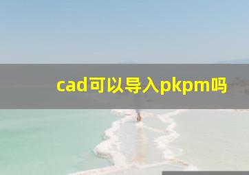 cad可以导入pkpm吗