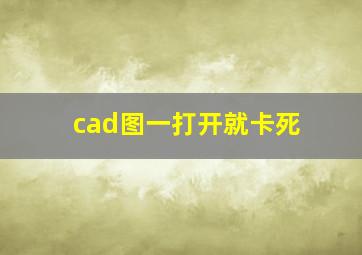 cad图一打开就卡死