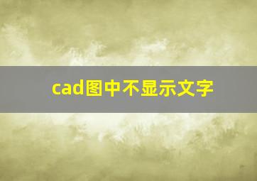 cad图中不显示文字