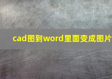 cad图到word里面变成图片