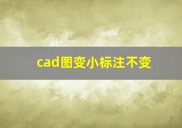 cad图变小标注不变