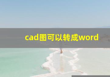 cad图可以转成word