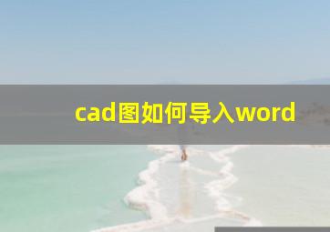 cad图如何导入word