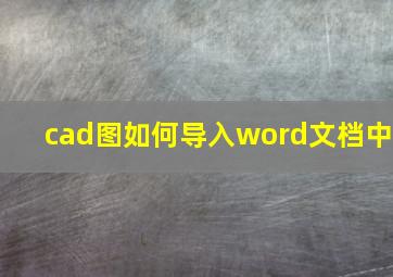 cad图如何导入word文档中