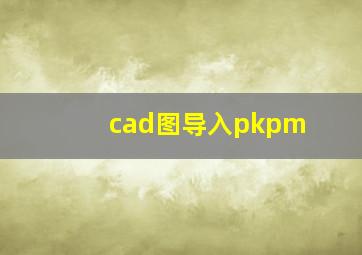 cad图导入pkpm