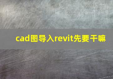 cad图导入revit先要干嘛