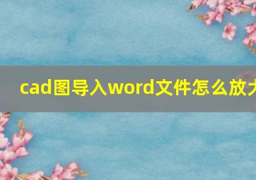 cad图导入word文件怎么放大