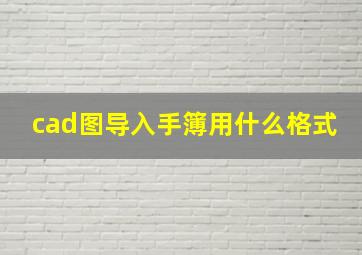 cad图导入手簿用什么格式