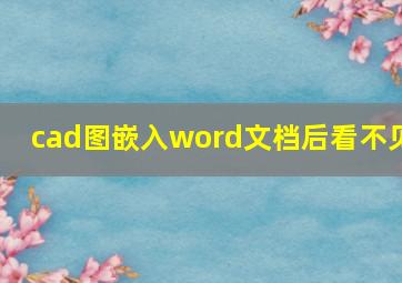 cad图嵌入word文档后看不见