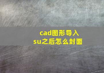 cad图形导入su之后怎么封面