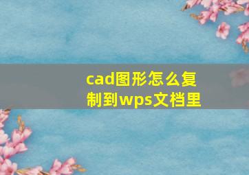 cad图形怎么复制到wps文档里