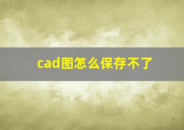 cad图怎么保存不了