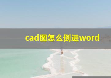 cad图怎么倒进word