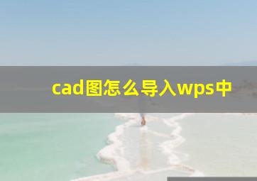 cad图怎么导入wps中