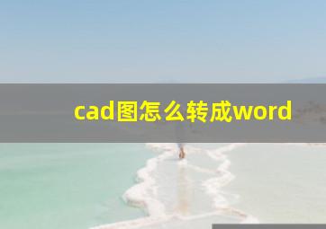 cad图怎么转成word